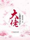 大佬退休之后